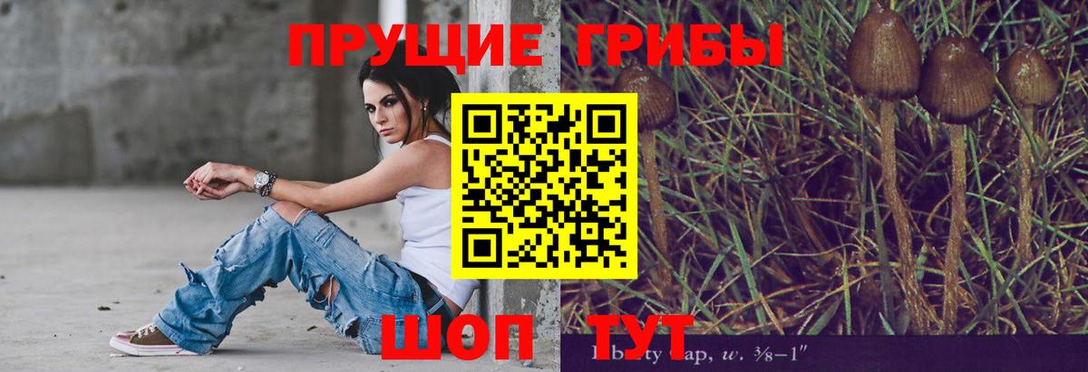 Псилоцибиновые грибы Cubensis Мурино